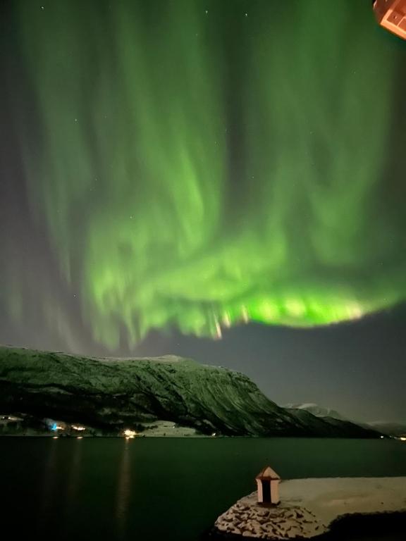 Malangen Arctic Sealodge Cabin 10 - B&B Mestervik