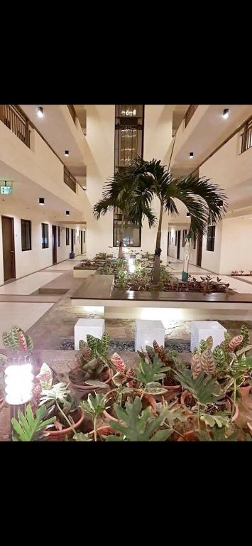 The Atherton - B&B Manila