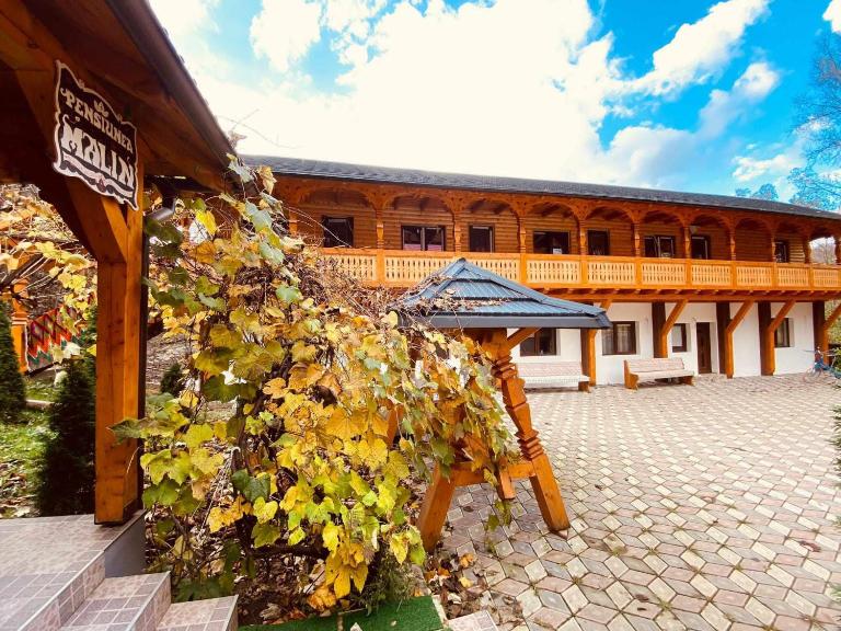 Pensiunea Malinul - Bed and Breakfast Bârsana