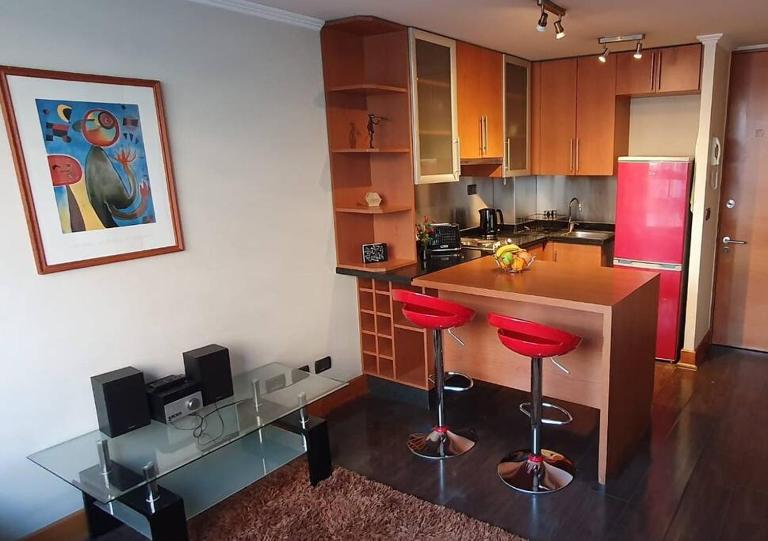 Providencia a pasos del metro Pedro de Valdivia - Ferienwohnung Santiago