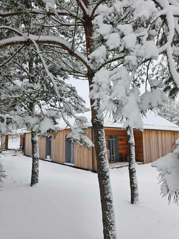 Miško Santorija - B&B Ažuluokesa