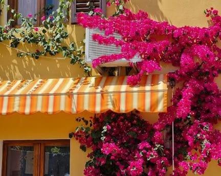 Appartamento in the Heart of Tuscany - B&B Monsummano Terme