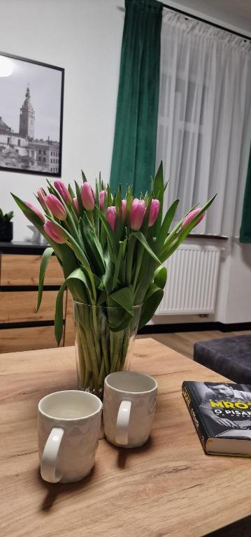 Apartament z duszą - Ferienwohnung Kłodzko