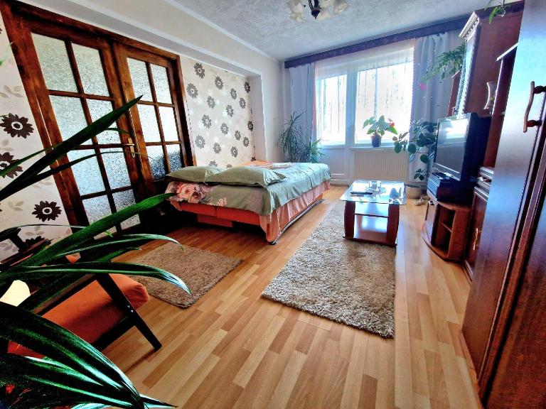 Sabina Apartment - B&B Sighișoara