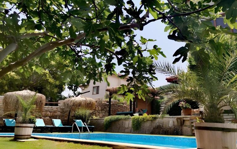 Villa Komitata-Pool and Jacuzzi - B&B Balchik