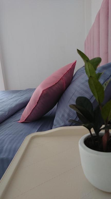 Luxe Diamond Villa - B&B Matara