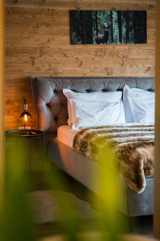 Green Resort Bran - B&B Bran