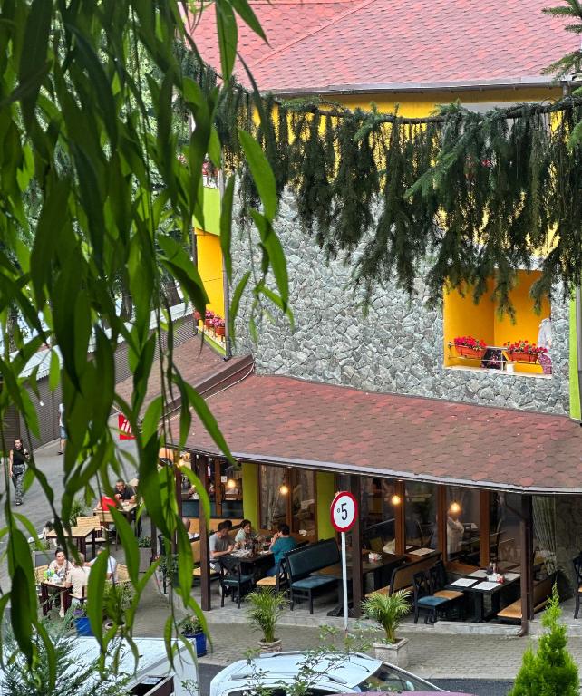 Pensiunea Izvoare Olanesti 3*** - B&B Băile Olăneşti