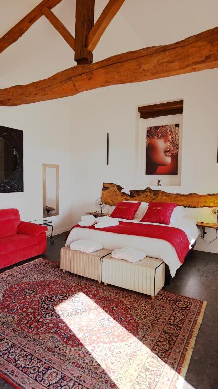 Chambres d'Hôtes Doux Brazil - Chambres d'hôtes Lisle-d'Albi