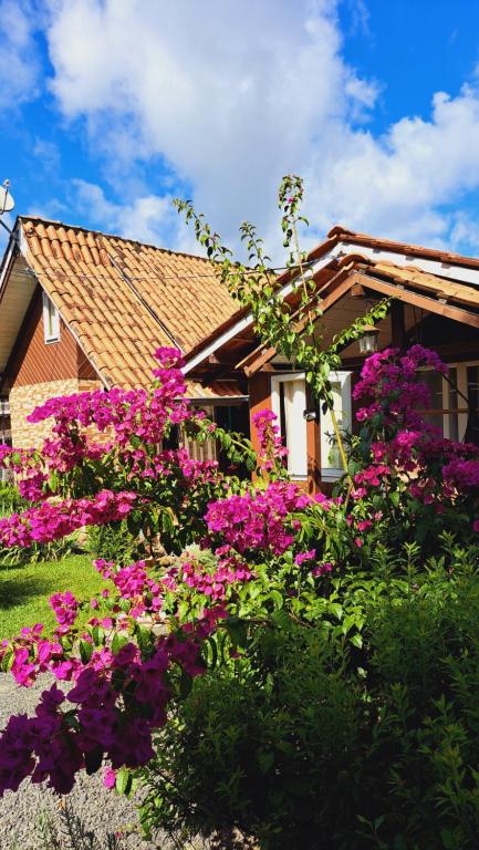 Chalé e cabana Doce Luar casas de temporada - B&B Urubici
