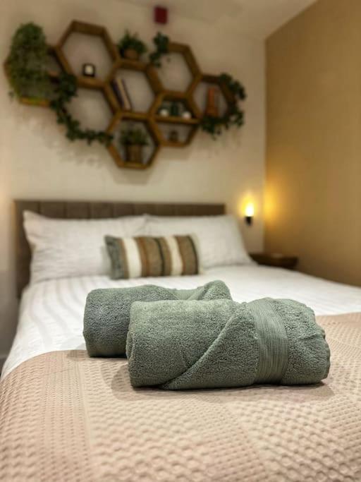 The Hive - Cosy Studio in Wells City Centre - B&B Wells