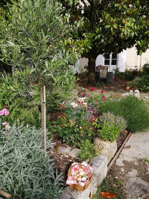 Au Logis de Véchillot - B&B Angoulême