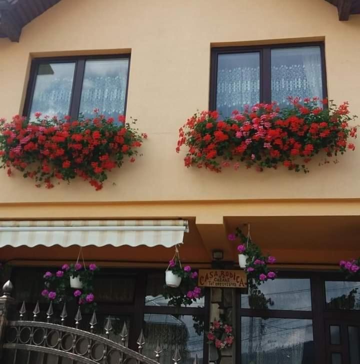 Casa Caldura Rodica - B&B Buşteni