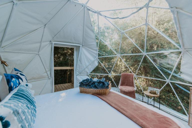 The Forest Dome Tsitsikamma - B&B Stormsriviermond