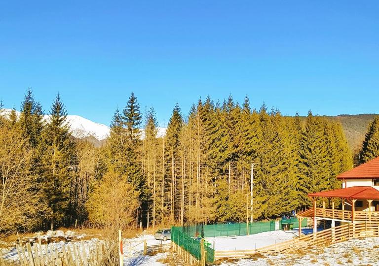 Poiana Sașilor - Valea Doftanei - B&B Trăisteni