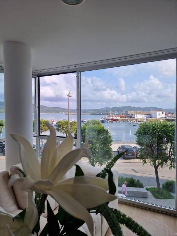 Apartamentos Puerto Camariñas - B&B Camariñas