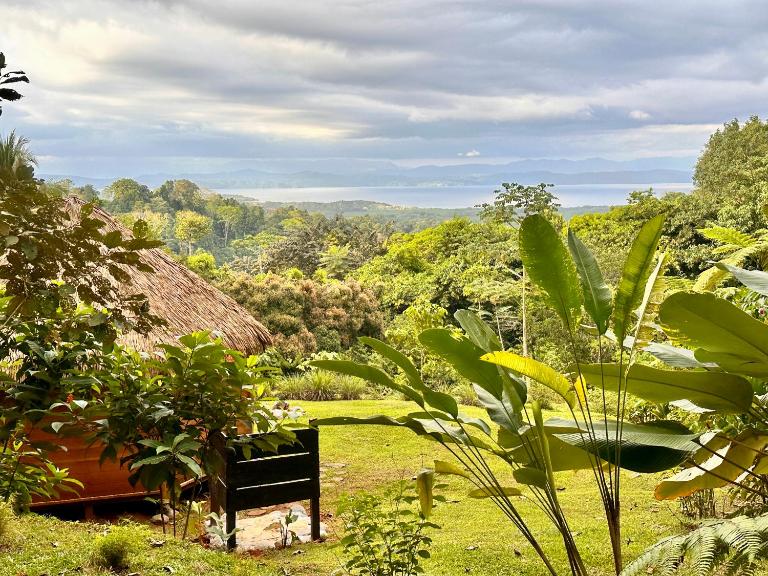 Finca Terra Incognita - Wood cabins in the jungle - Sea view - Bed and Breakfast Puerto Jiménez