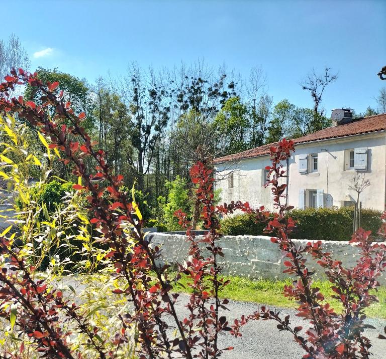 Gîte 2 personnes - Bed and Breakfast Courcoury