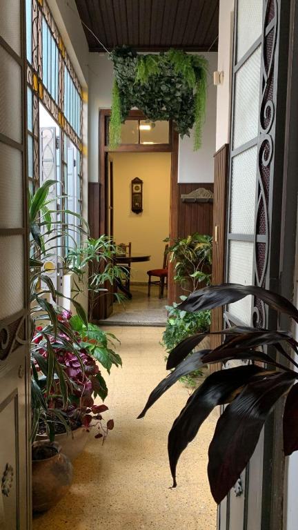 Hospedaje de Luz - B&B San Salvador de Jujuy