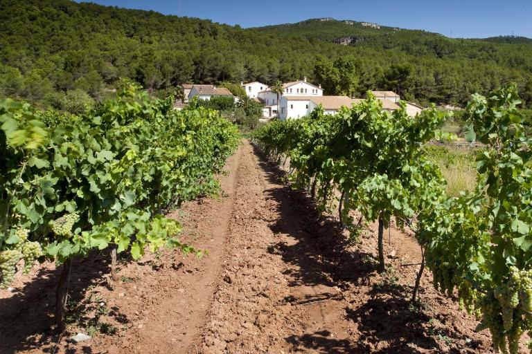 Finca Can Romeu: alojamiento rural entre viñedos - Chambres d'hôtes Font-Rubí