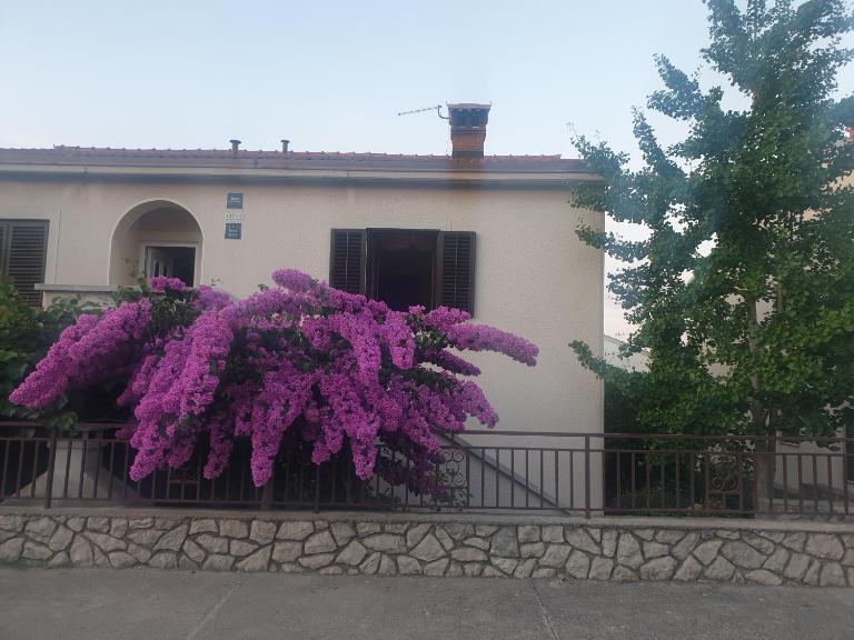 Apartments Mara - B&B Mali Lošinj