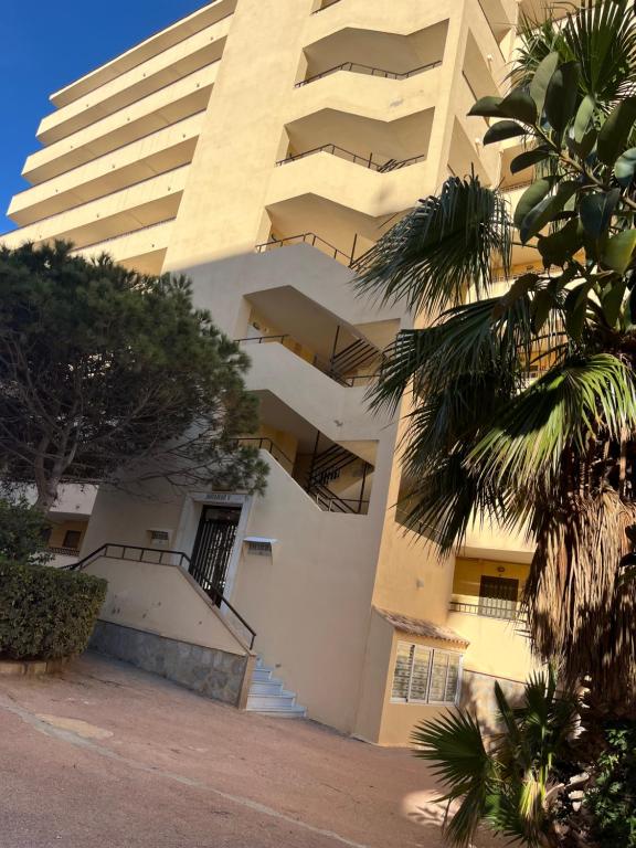 MIRAMAR V - B&B Torrevieja