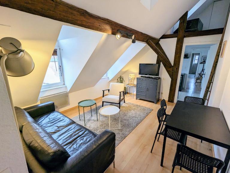 Appartement des Serruriers - B&B Strasbourg