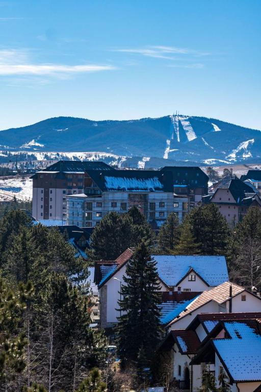 Blue Mataki - B&B Zlatibor