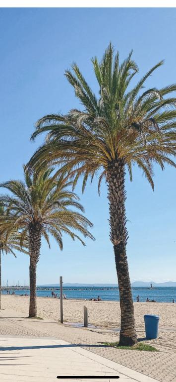 STUDIO ROSES PLAGE - B&B Roses
