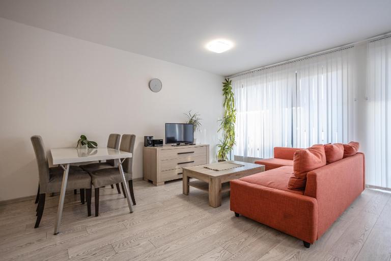 Spacious Terrace Apartment with free private parking - Bed and Breakfast Praag