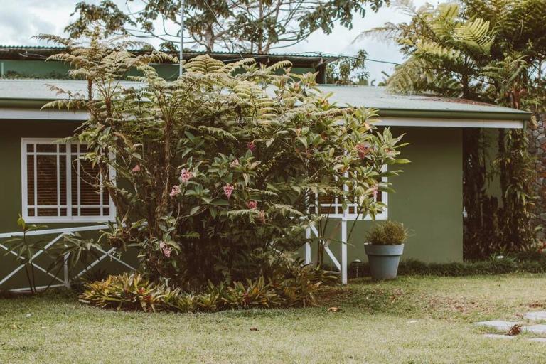 Cabin at Los Titos Coffee Farm - B&B Recreo