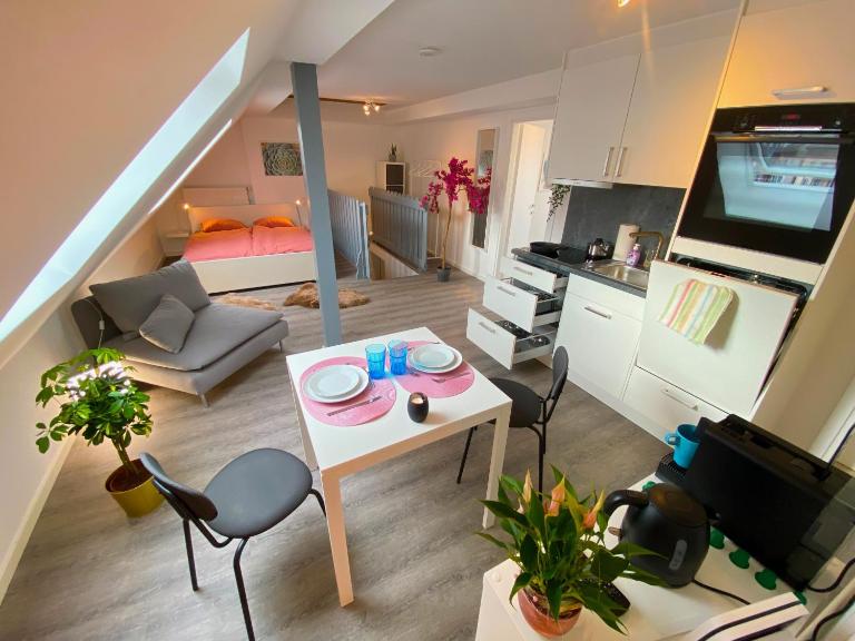 Ruhige, neue Dachwohnung an Altstadt, nähe Messe - Bed and Breakfast Sankt Gallen