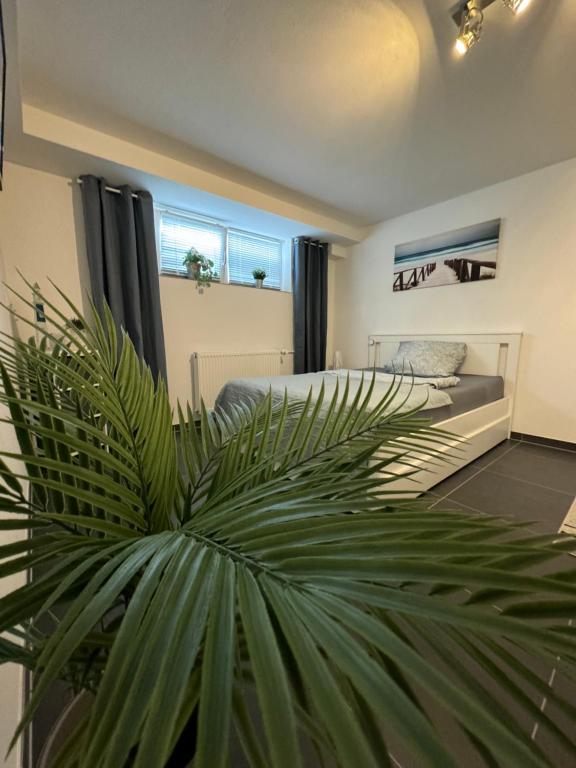 Gästewohnung Birkenblick - B&B Rheinbach