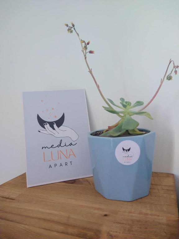 Media Luna Apart -Depto A en Choele Choel - Bed and Breakfast Choele Choel