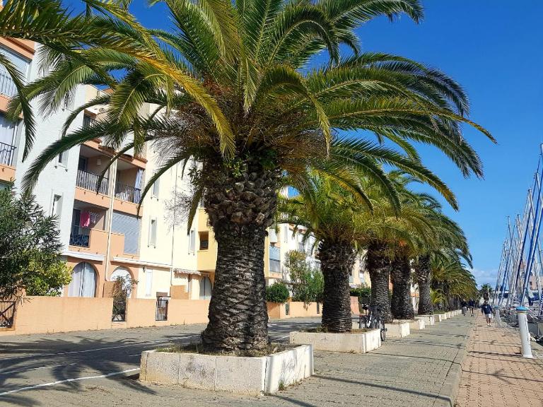 T2 sur le port avec parking - B&B Gruissan