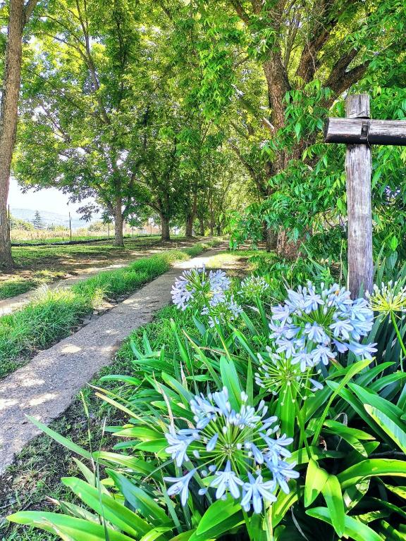 Hill Billys Selfcatering - B&B Winterton