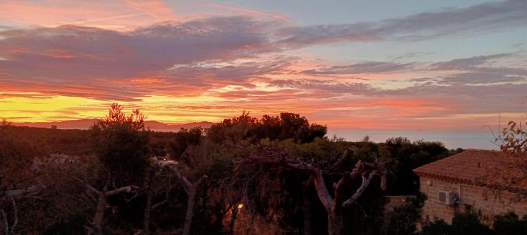 Les Asphodèles - B&B Sausset-les-Pins