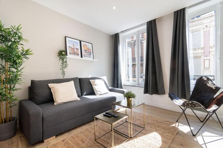 Hypercentre -Apartment in pedestrian zone - B&B Lille