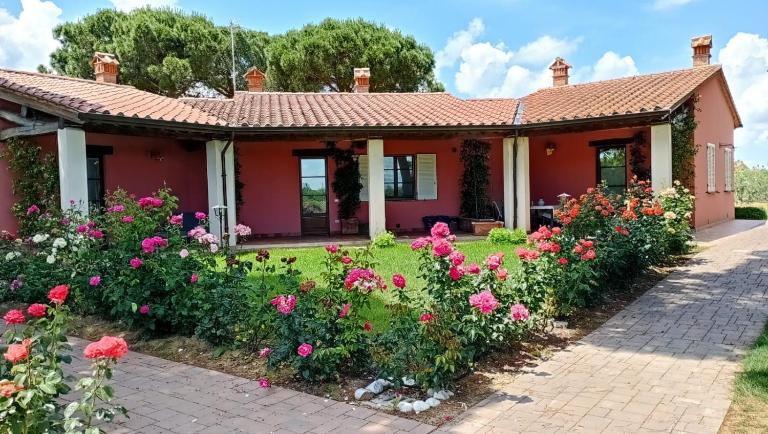Agriturismo Il Sogno - B&B Castiglione del Lago
