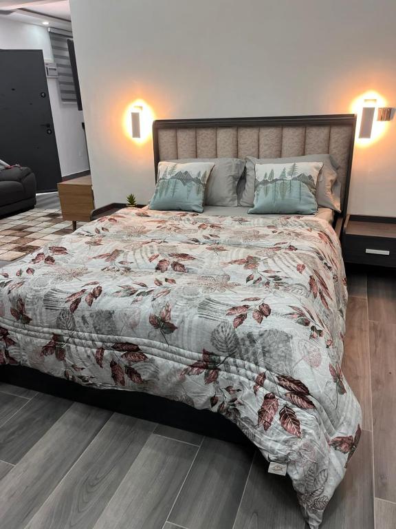 NBA PLUSH APARTMENT - NSROMA - B&B Accra