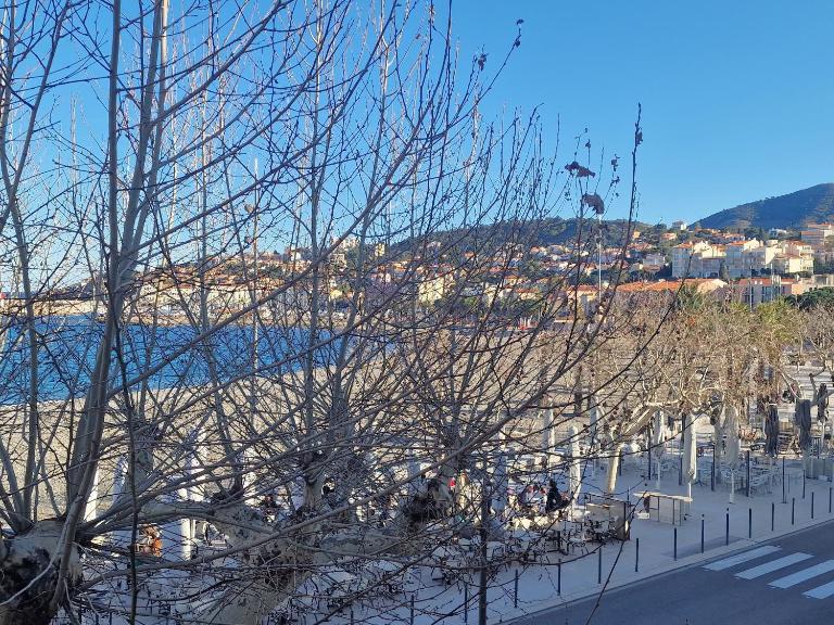 T3 à 50m de la plage, climatisé, Banyuls-sur-Mer - FR-1-309-9 - Chambres d'hôtes Banyuls-sur-Mer