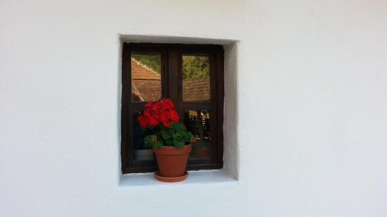 Zempléni Pitvaros Pihenő - B&B Telkibánya
