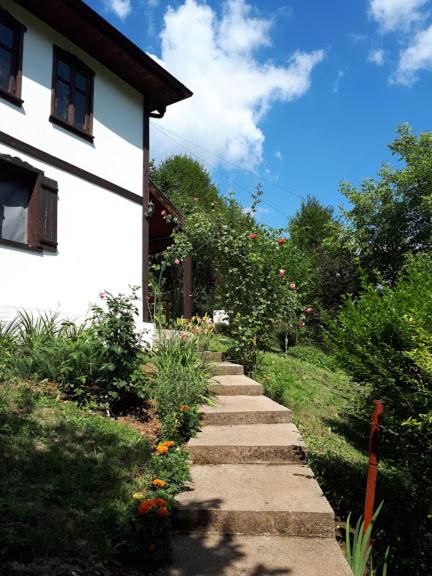 Vila Anna - B&B Ribaritsa