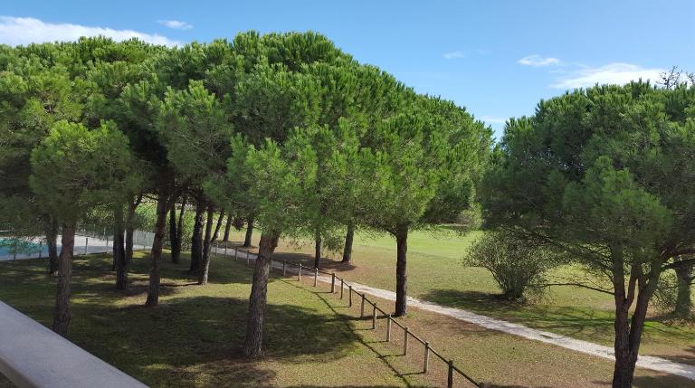 VERT Paradis ST CYPRIEN GOLF CLAIR 3 étoiles, 80 m2 avec Terrasse Pergola, Vue apaisante sur Pins parasols, 2è étage, 2 chambres, 3 CLIM, WIFI - Piscine, Parking et Park à vélos, Ascenseur - en Option Linge, Ménage - Pistes cyclables, Mer à proximité - B&B Saint-Cyprien