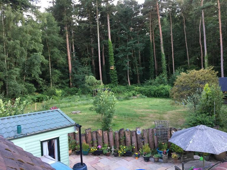 Secluded Woodland Hideaway - 2 Bed with Private Parking - B&B Emsworth