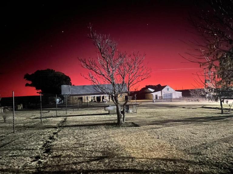Eittel Guest Farm Cottage - B&B Winburg