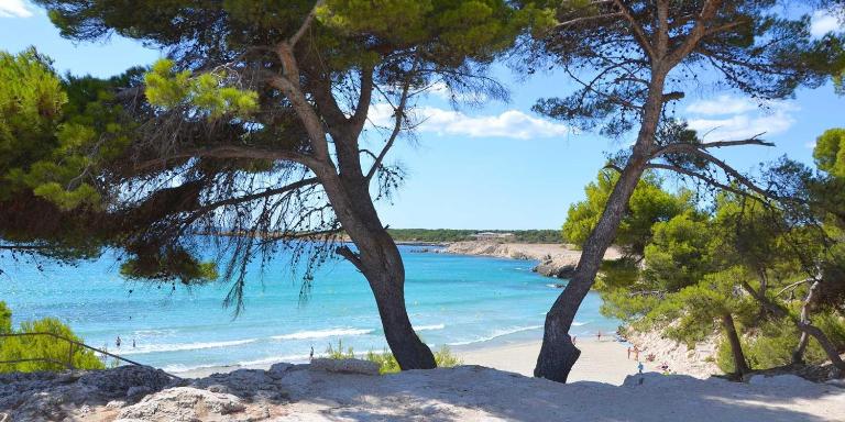 A 100m de la plage - Vue mer - Climatisé - B&B Sausset-les-Pins