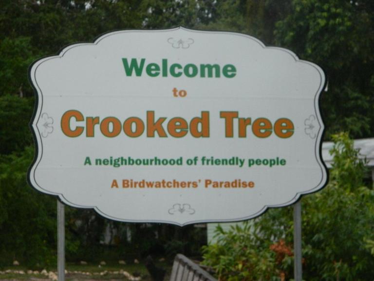 Becks Bed & Breakfast - B&B Crooked Tree