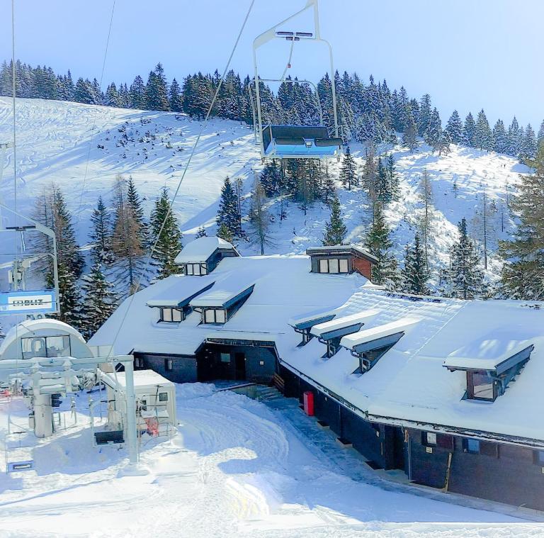 Apartma Krvavec - cosy mountain retreat - Bed and Breakfast Cerklje na Gorenjskem