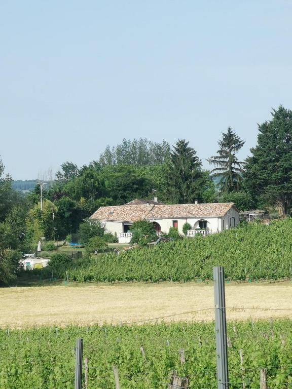 Aux vignes d’Arnaud - Chambres d'hôtes Loubès-Bernac